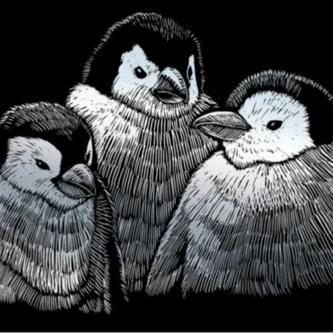 Three penguin chicks with silver feathers on a black background