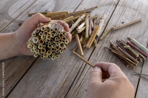 Bee Hotels