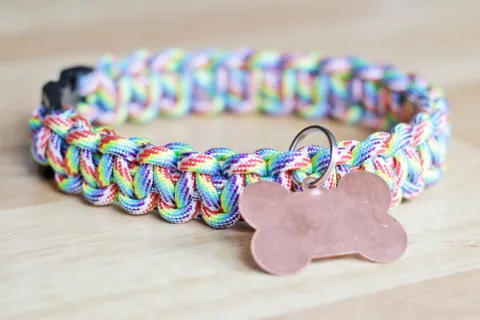 DIY Dog Collars