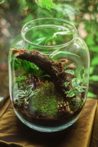 Faux Terrarium