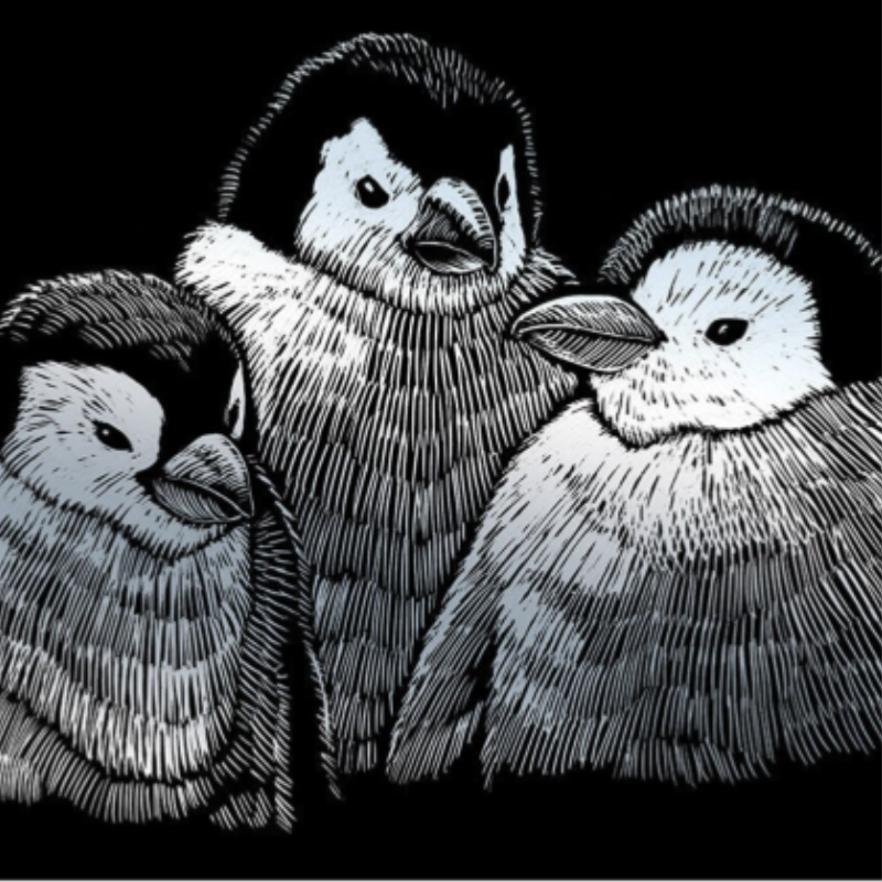Three penguin chicks with silver feathers on a black background