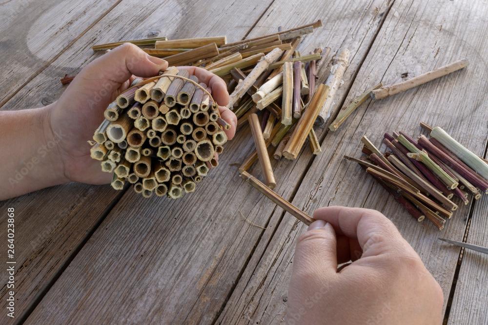 Bee Hotels