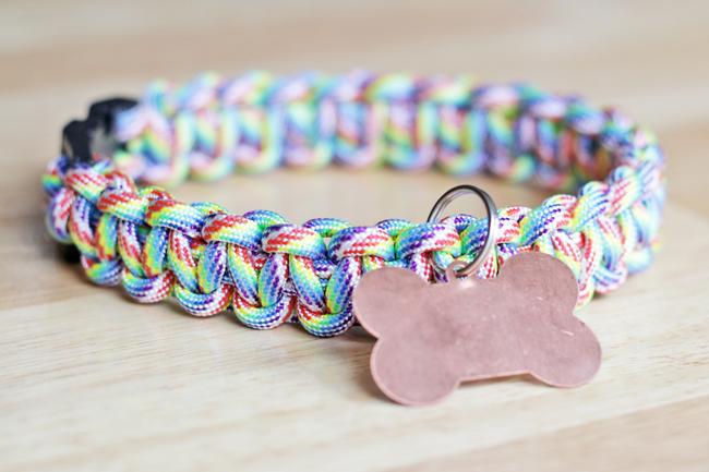 DIY Dog Collars